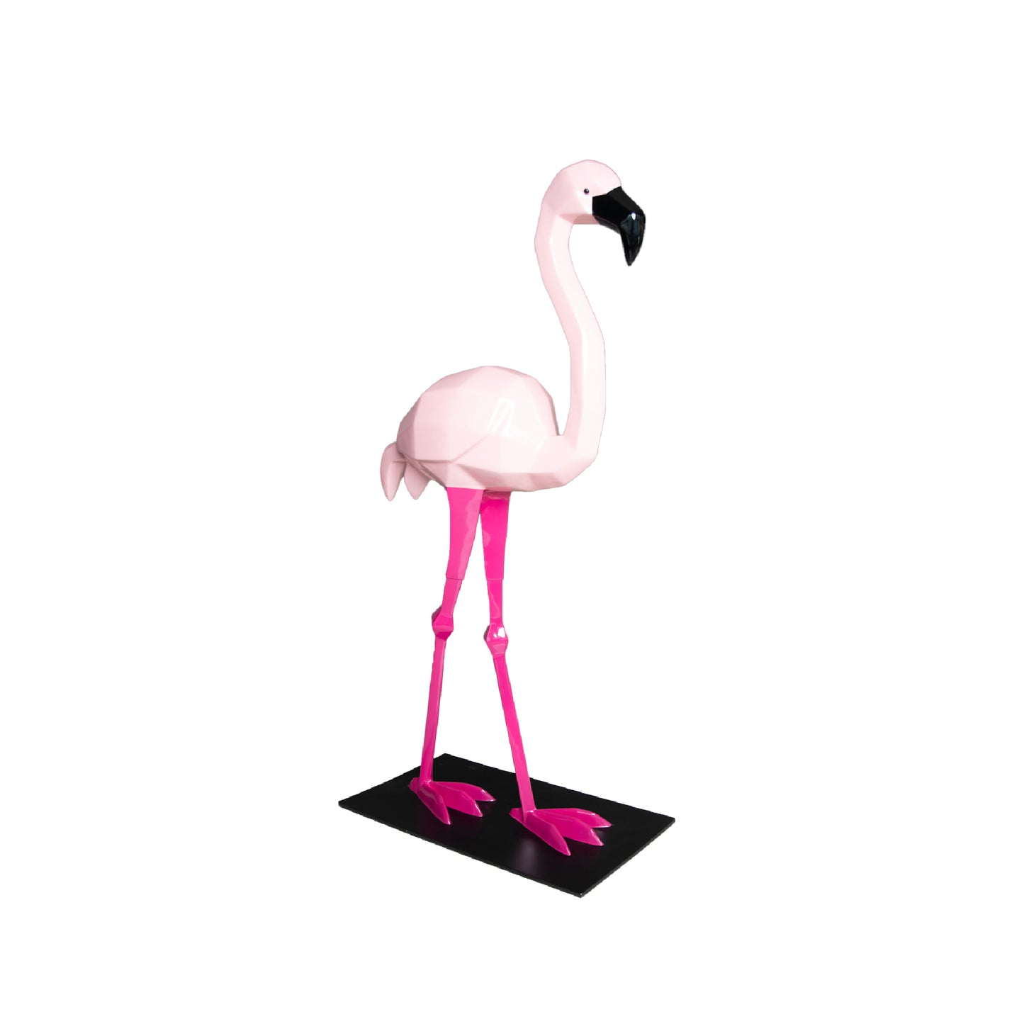 Fenicottero Rosa