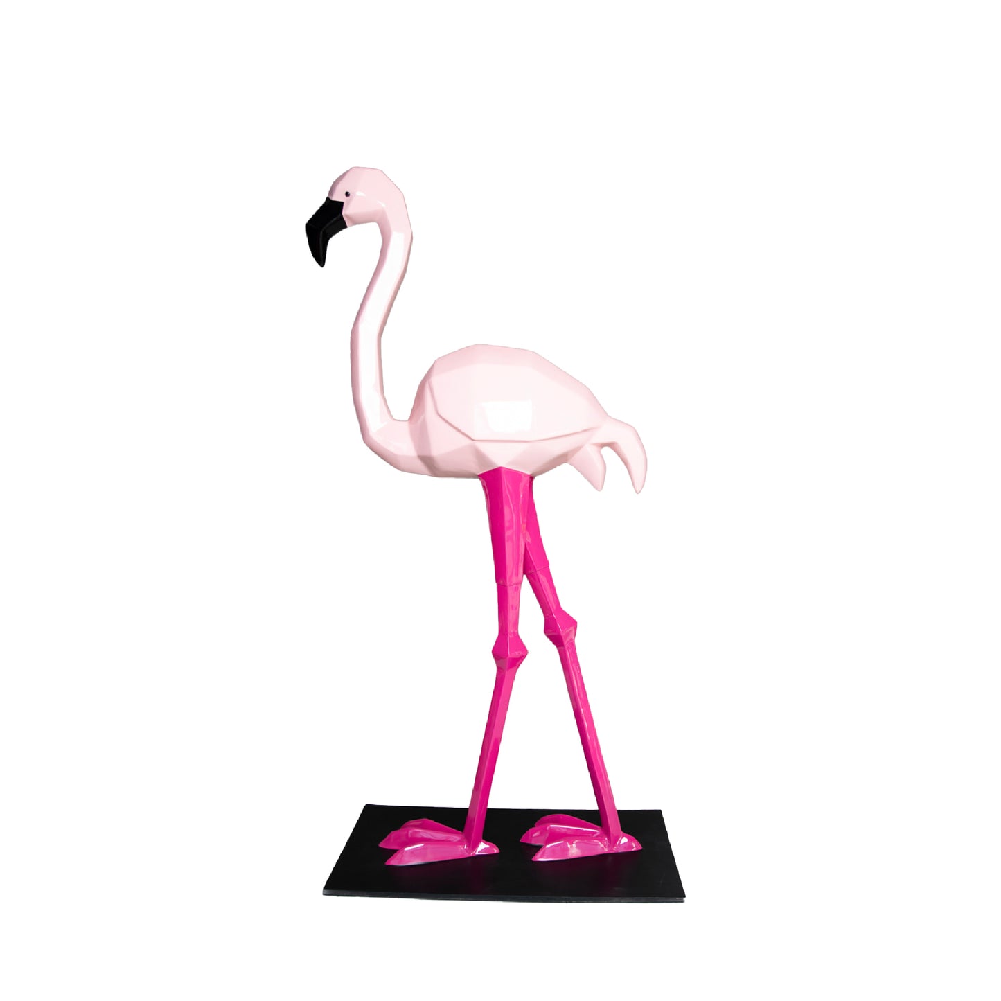 Fenicottero Rosa