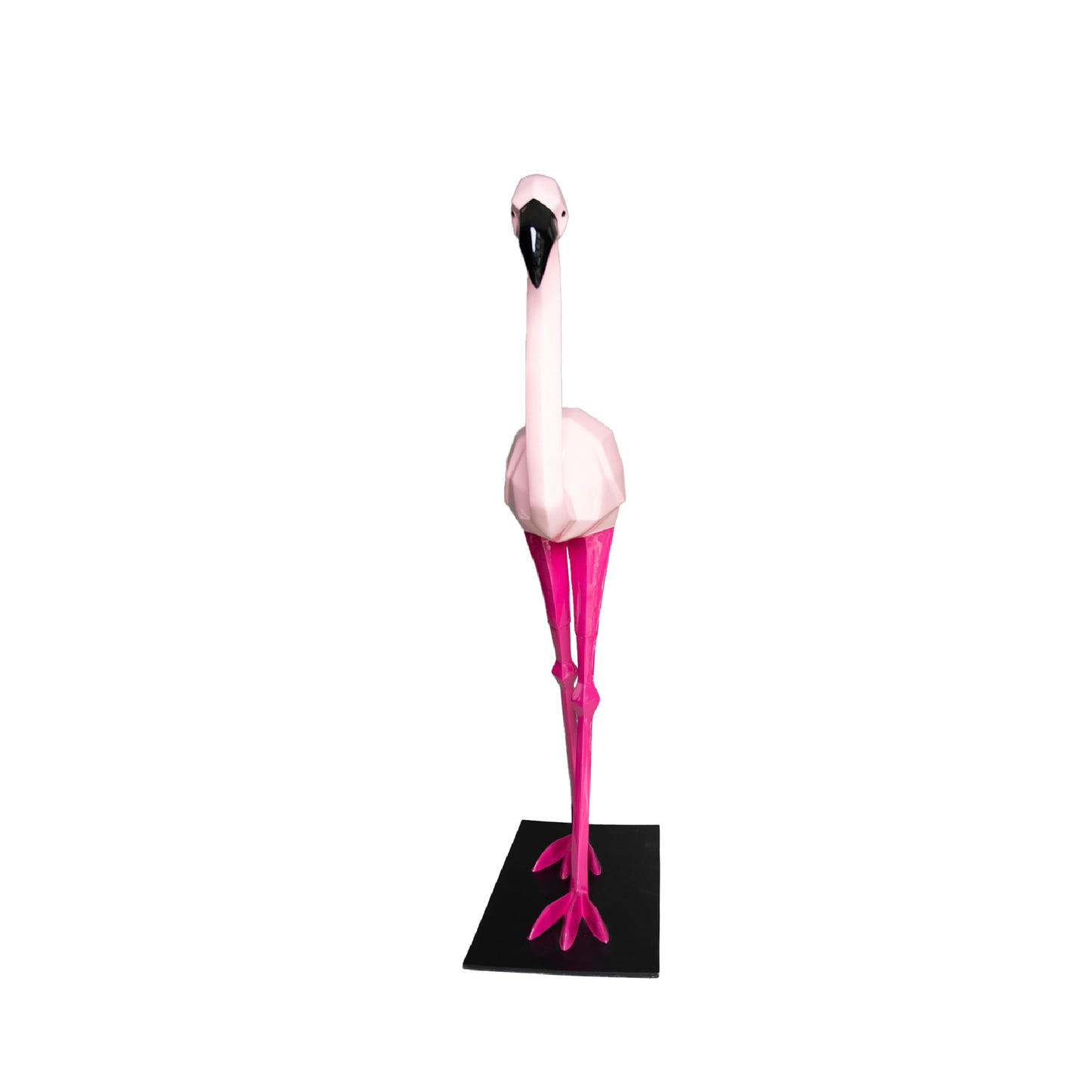 Fenicottero Rosa