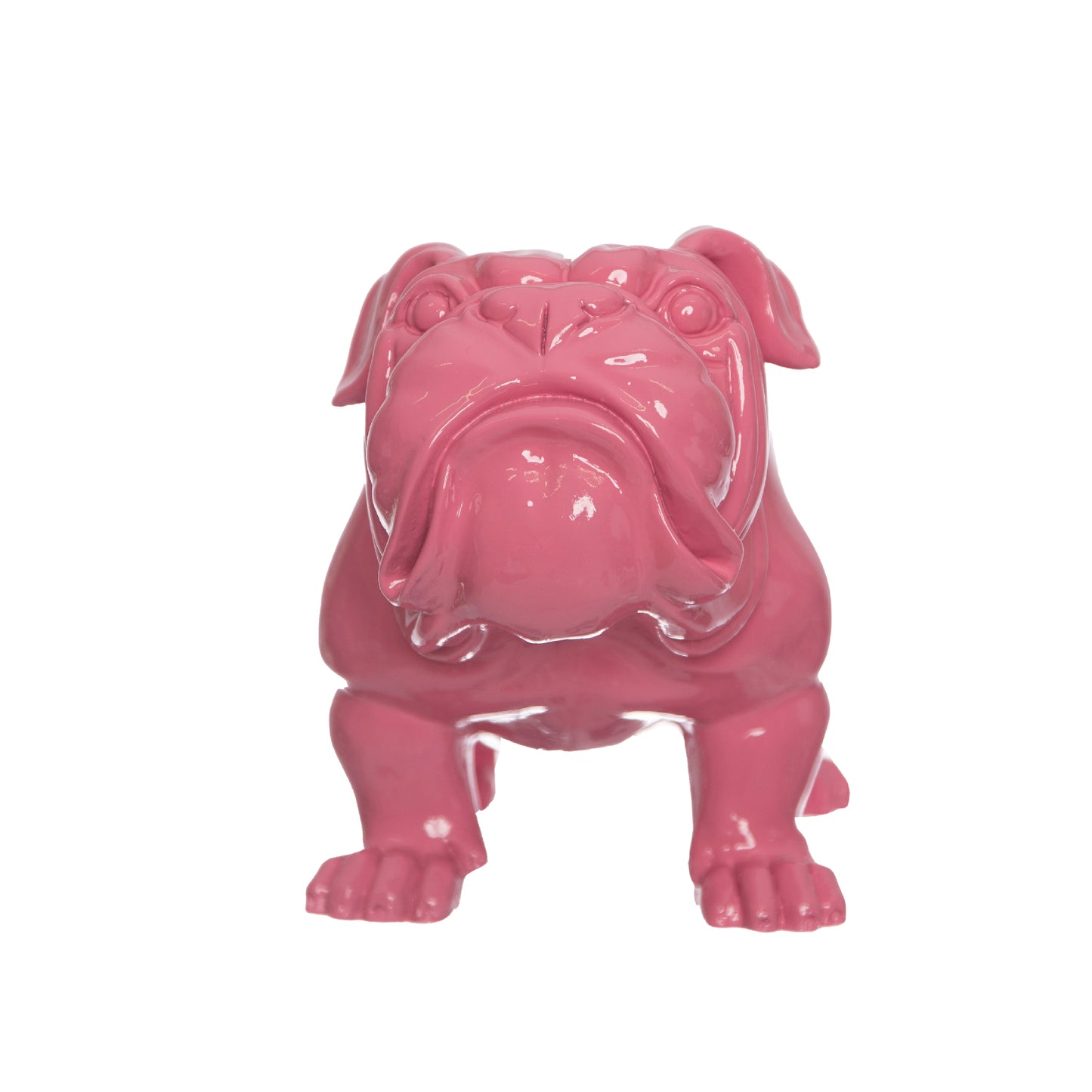 Bulldog Rosato