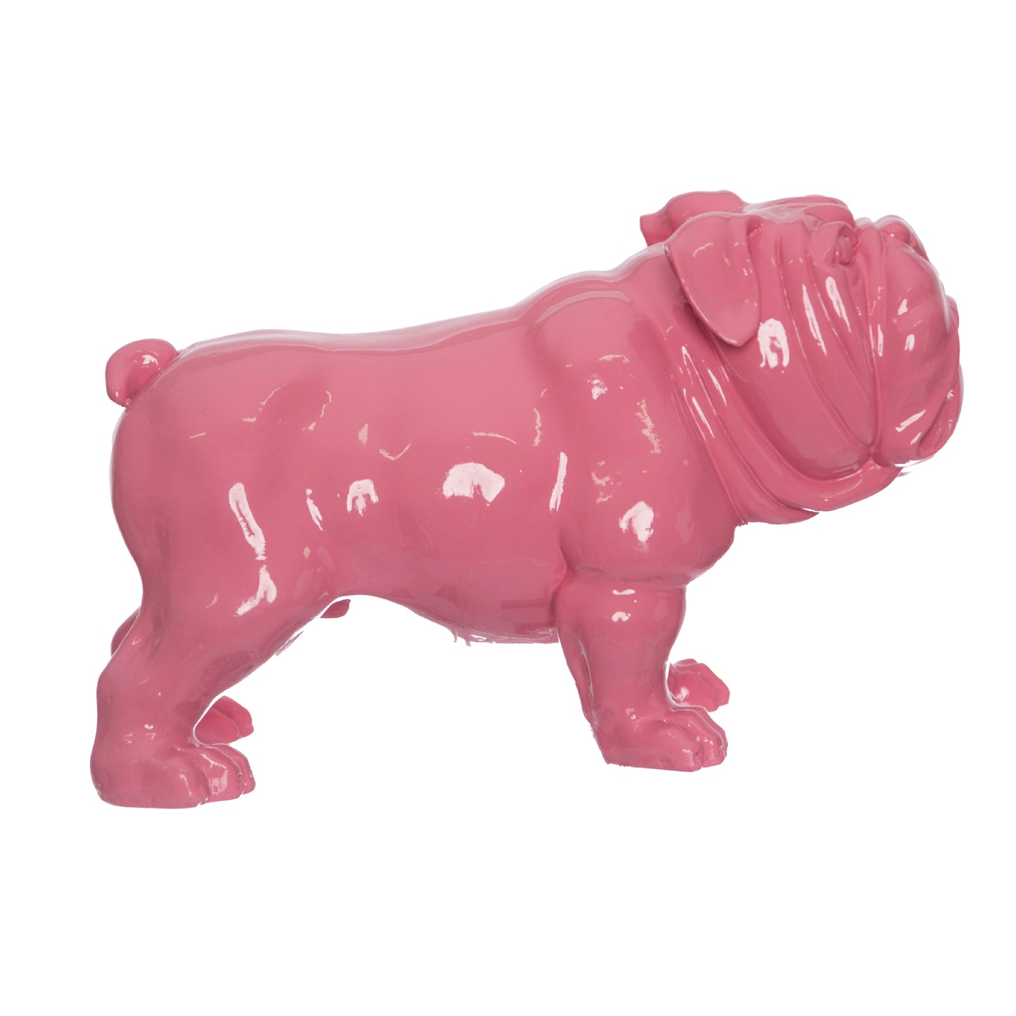 Bulldog Rosato