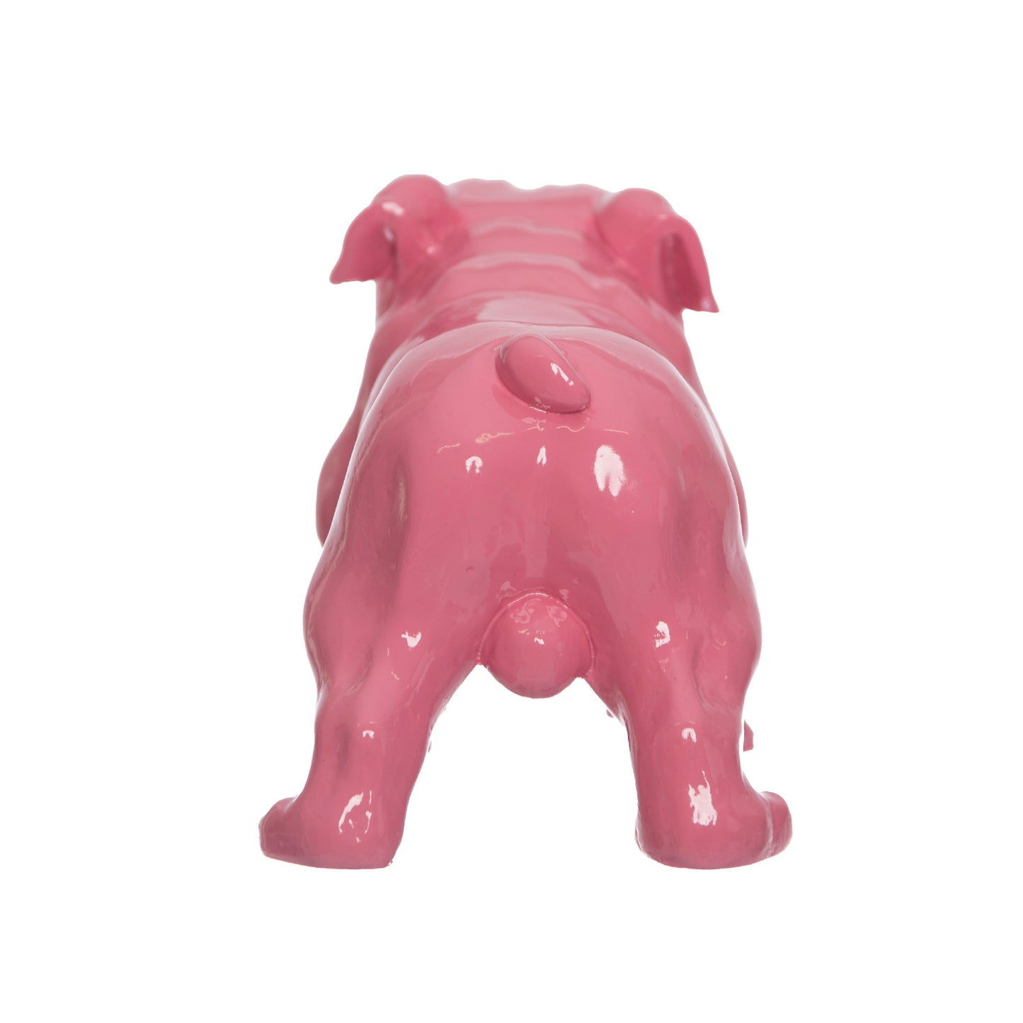 Bulldog Rosato