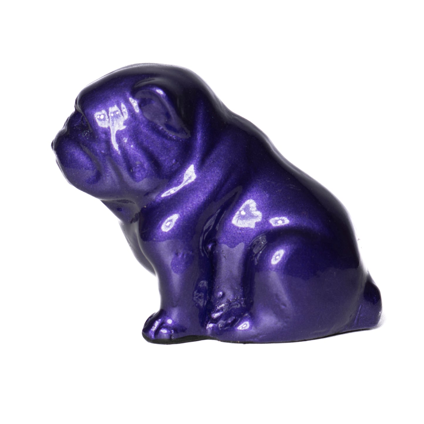 Mini Bulldog