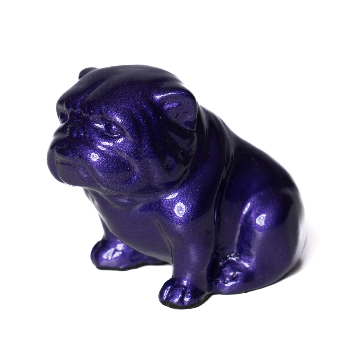Mini Bulldog