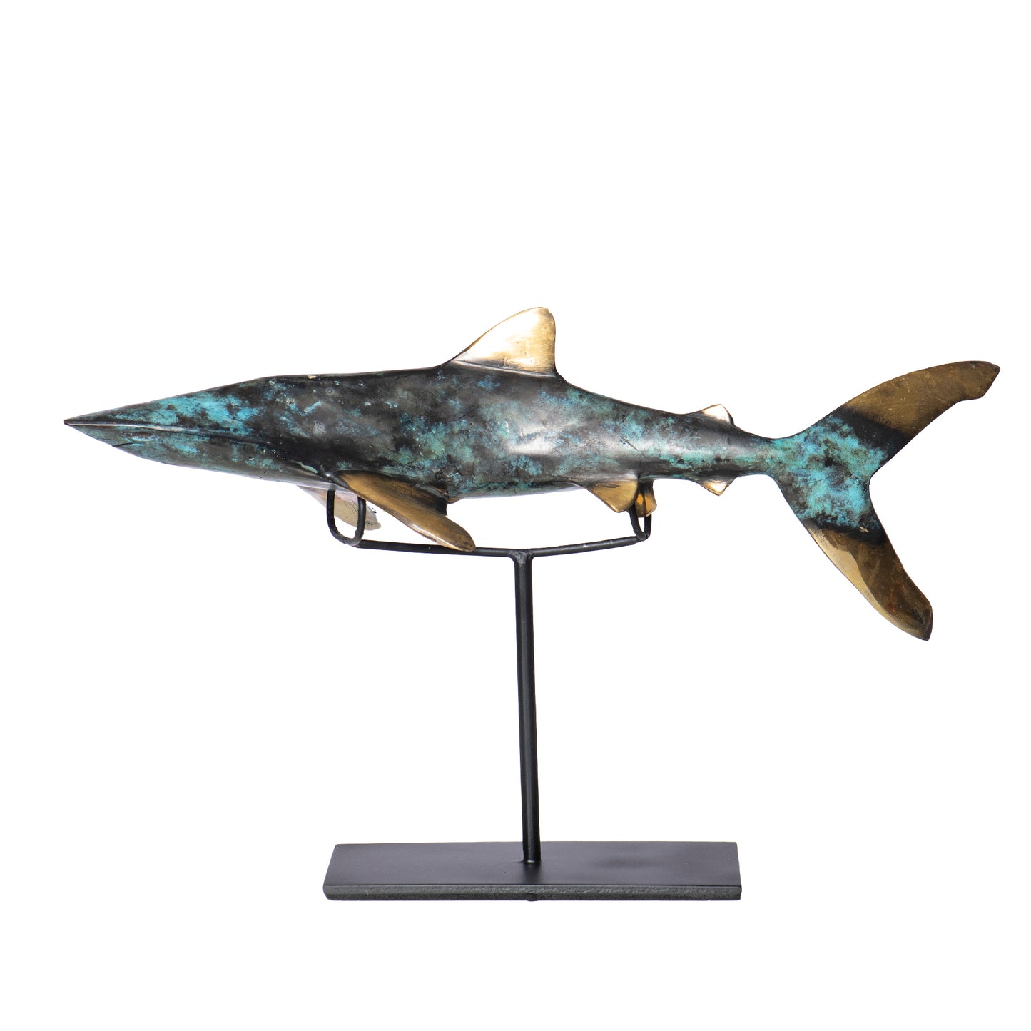 Shark Bronzo